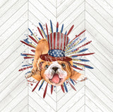 4th Of July Bulldog Fireworks Sublimation Design PNG Digital File, Blue Red Gold Independence Day America Dog Sublimation Designs Download
