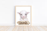 Lamb Watercolor Farm Animal Rustic Farmhouse Nursery Decor Unframed Print