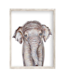 Watercolor Baby Elephant Safari Animal Nursery Unframed Print