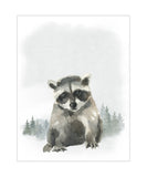 Raccoon Woodland Forest Animals Wilderness Watercolor Nursery Decor Unframed Print